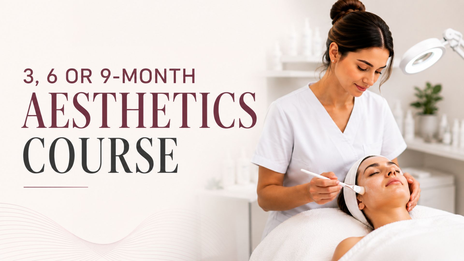 aesthetics course frontera academy